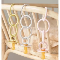 BIBs Loops