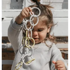 BIBs Loops