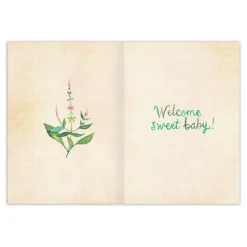 Biely & Shoaf Belong Here Baby Card