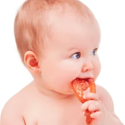 CaaOcho Baby Fish Teether