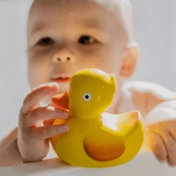 CaaOcho Lily the Duck
