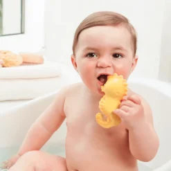 CaaOcho Nalu the Seahorse