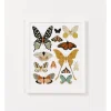 Clementine Kids Butterfly Collector Art