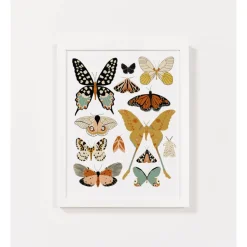 Clementine Kids Butterfly Collector Art