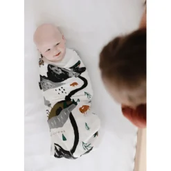 Clementine Kids National Parks Swaddle