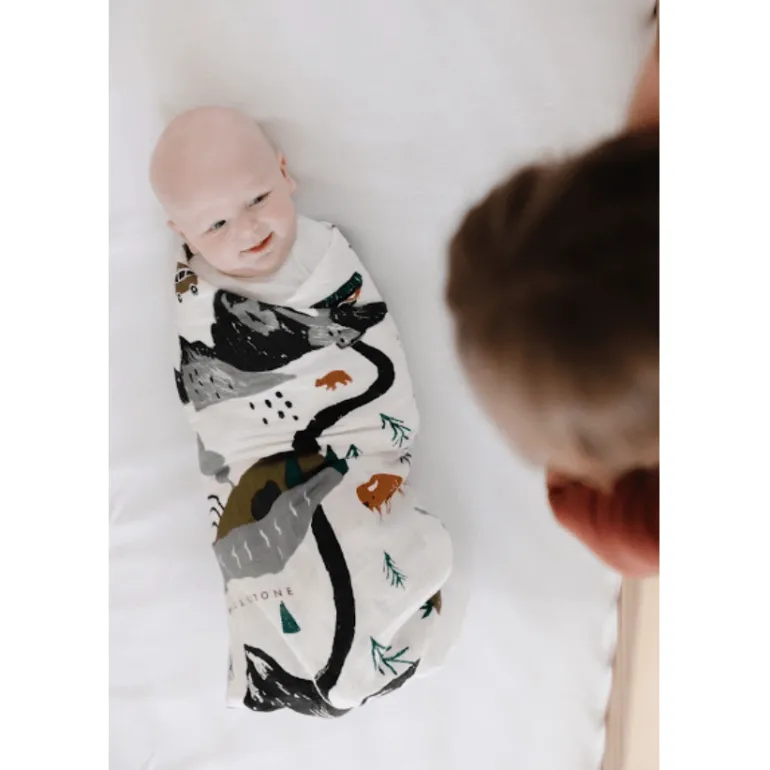 Clementine Kids National Parks Swaddle