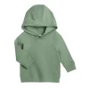 Colored Organics Madison Hooded Pullover- Thyme