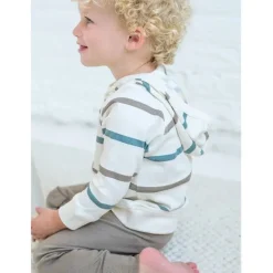 Colored Organics Madison Hooded Pullover - Max Stripe Teal +Taupe