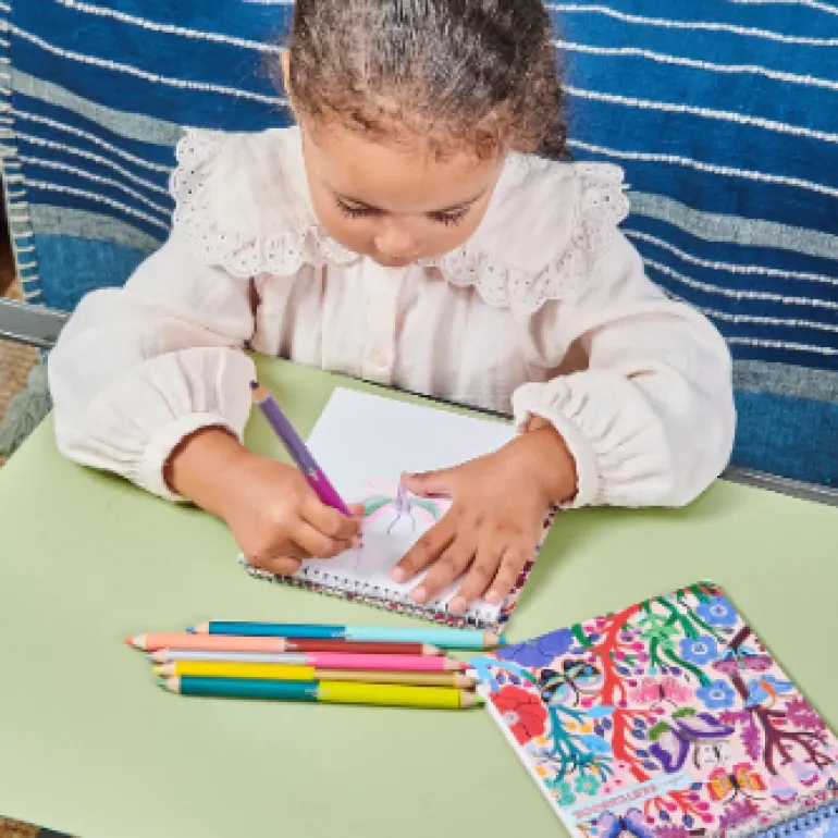 eeBoo Butterfly 6 Jumbo Double-Sided Pencils