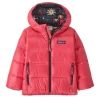 Fall 2024 Patagonia Baby Hi-Loft Down Sweater Hoody