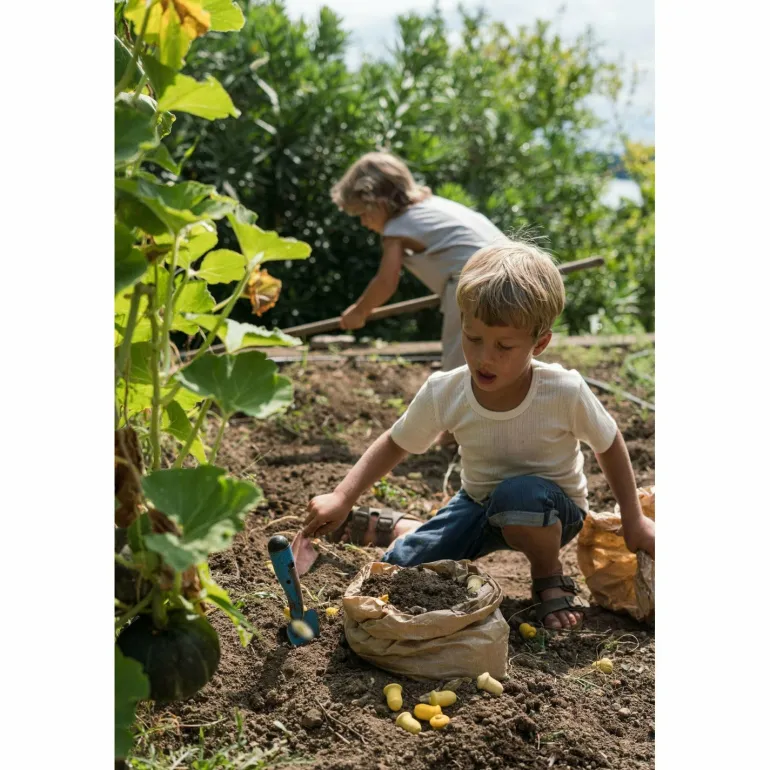Grapat Mandala Tulips