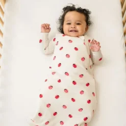 Kyte Baby Sleep Bag 1.0