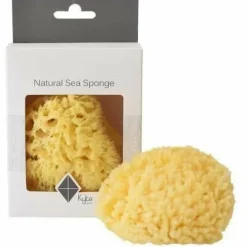 Kyte Sea Sponge