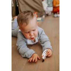 Little Camper Teether