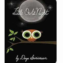 Little Owl's Night - Board Book