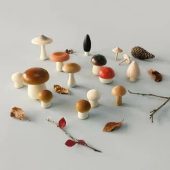 Moon Picnic - Forest Mushrooms In A Box