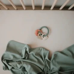 Mushie Teething Ring- Dino