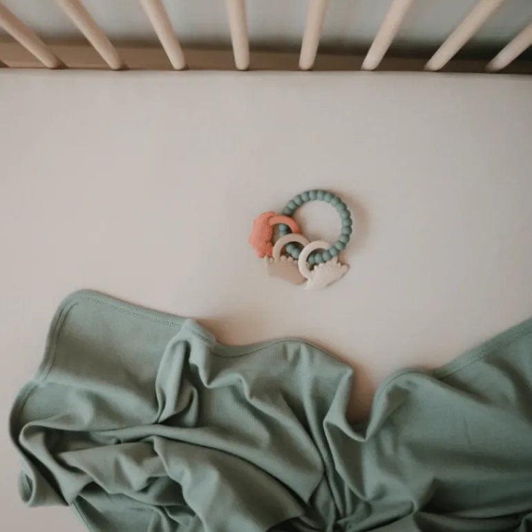 Mushie Teething Ring- Dino