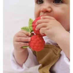 Oli & Carol - Valery the Raspberry