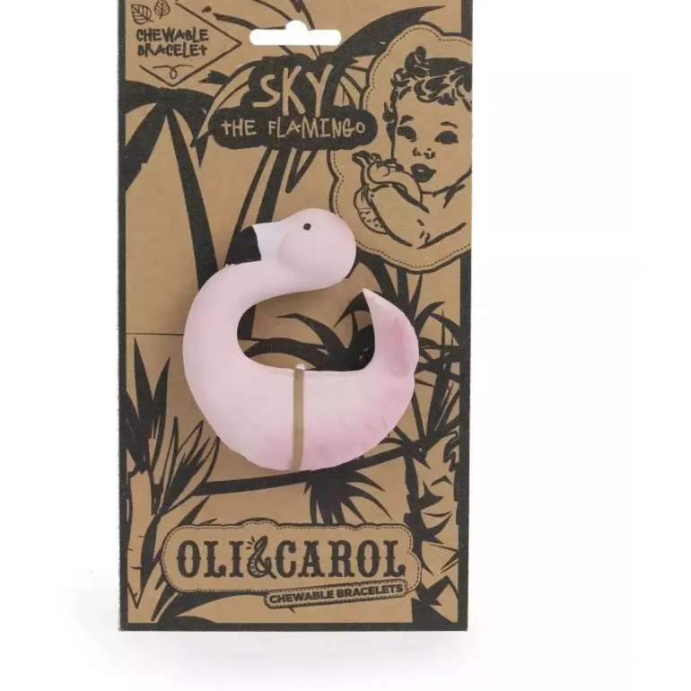 Oli & Carol Sky the Flamingo