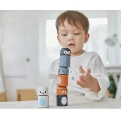 Plan Toys Arctic Animal Matching