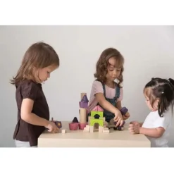 Plan Toys Fairy Tale Blocks