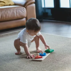 Plan Toys Shape Matching Puzzle