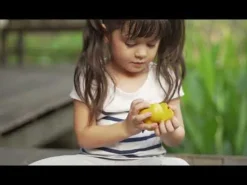 Plan Toys Wonky Fruit & Vegetables