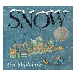 Snow - Board Book