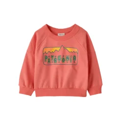 Spring 2025 Patagonia Baby Crew Sweatshirt
