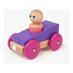 Tegu Magnetic Racer