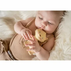 Tikiri Arctic Fox Teether