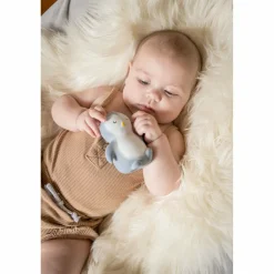 Tikiri Arctic Penguin Teether
