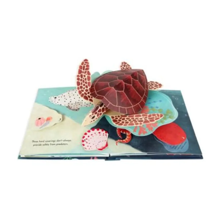 Up with Paper Pop Up Book - Shells