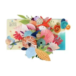 Up with Paper Pop Up Book - Shells
