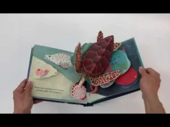 Up with Paper Pop Up Book - Shells