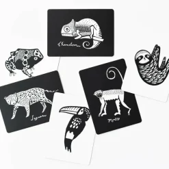 Wee Gallery Art Cards For Baby