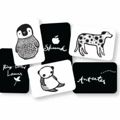 Wee Gallery Art Cards For Baby