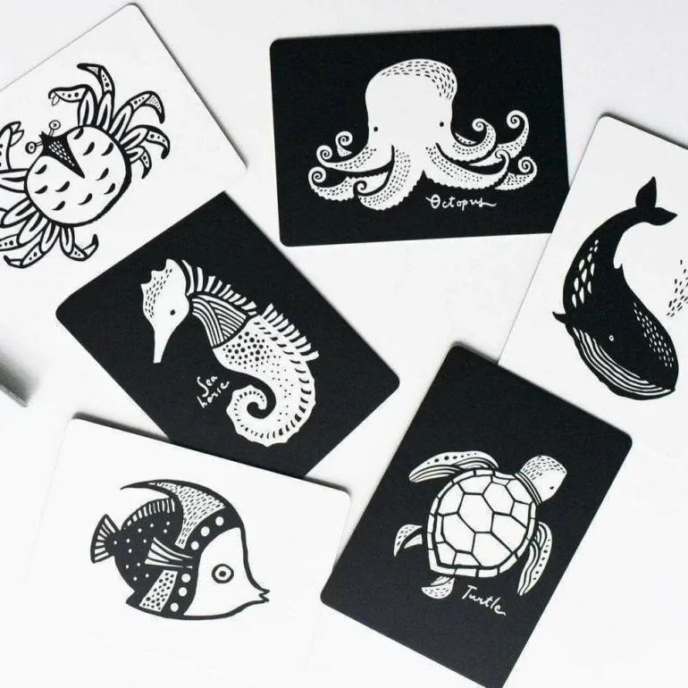 Wee Gallery Art Cards For Baby
